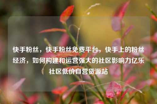 快手粉丝	，快手粉丝免费平台，快手上的粉丝经济，如何构建和运营强大的社区影响力亿乐社区低价自营货源站  第1张