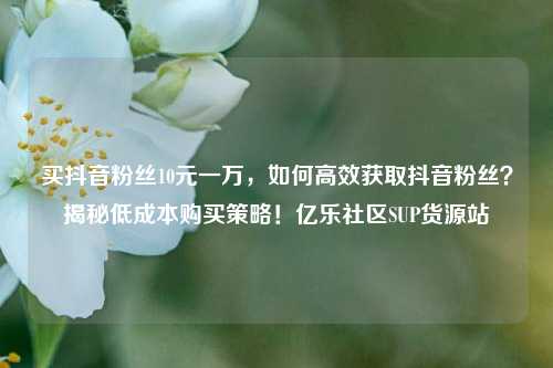 买抖音粉丝10元一万，如何高效获取抖音粉丝？揭秘低成本购买策略！亿乐社区SUP货源站  第1张