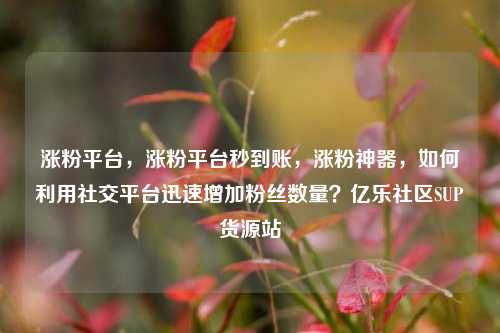 涨粉平台，涨粉平台秒到账	，涨粉神器，如何利用社交平台迅速增加粉丝数量？亿乐社区SUP货源站  第1张